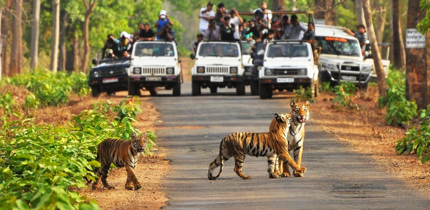 http://www.getbookcab.com/Admin/images/sariska.jpg